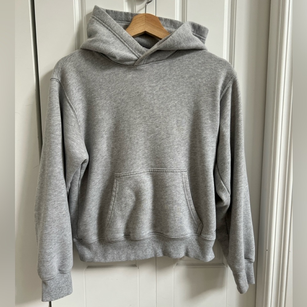 TNA Aritzia Terry Fleece Perfect Hoodie